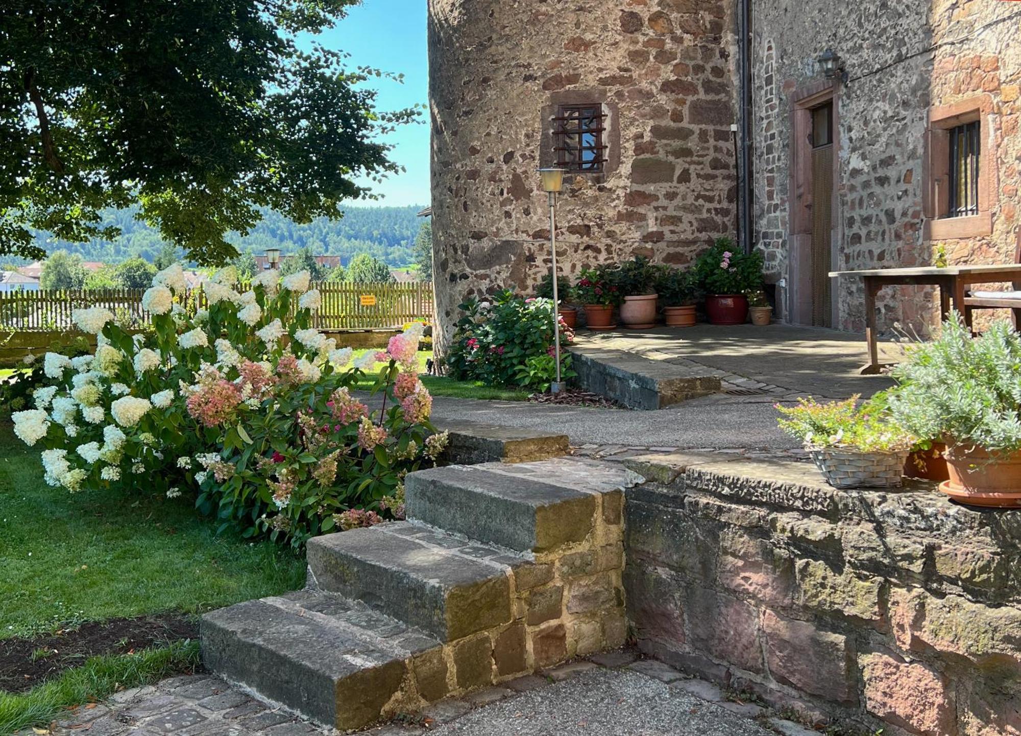 Graefin Amalia - Elegantes Apartment In Der Historischen Hinterburg In Schlitz, 2 Schlafzimmer, Mit Garten, Nahe Fulda Und Bad Hersfeld 외부 사진