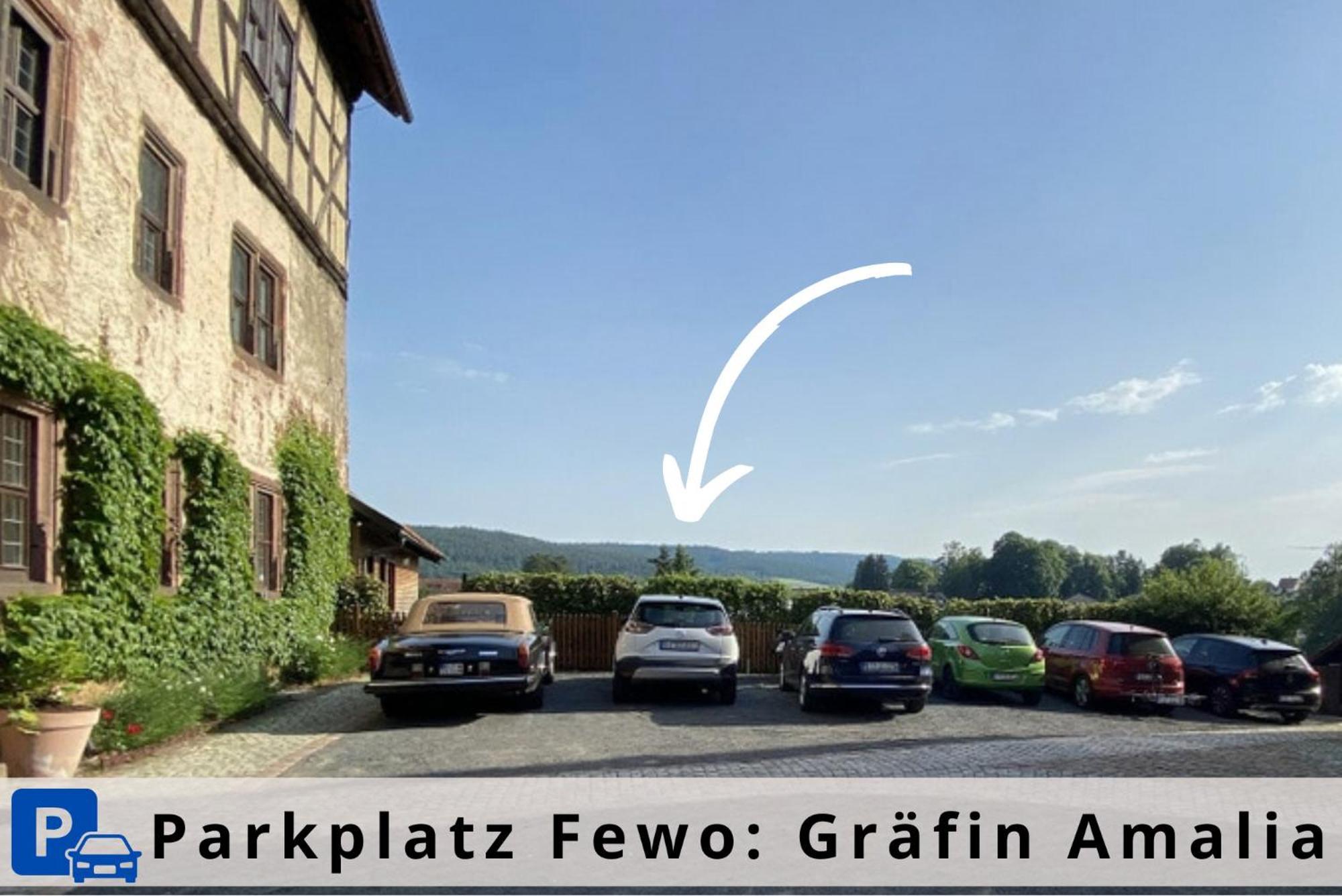 Graefin Amalia - Elegantes Apartment In Der Historischen Hinterburg In Schlitz, 2 Schlafzimmer, Mit Garten, Nahe Fulda Und Bad Hersfeld 외부 사진